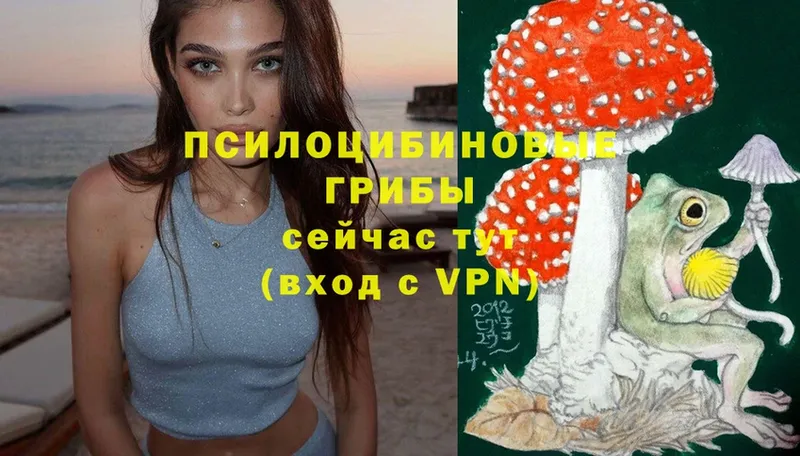 наркота  Калининск  darknet формула  Галлюциногенные грибы Magic Shrooms 